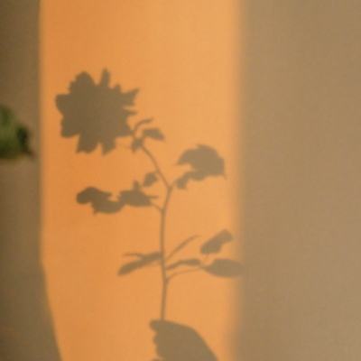 机器人赛道进入下半场：凯乐士科技或将迎来盈利拐点，商业兑现提速